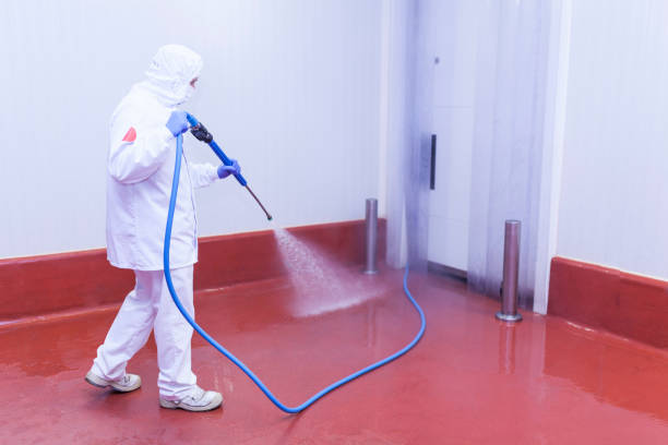 Best Driveway Cleaning and Restoration in Aptos, CA